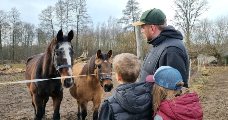 PLAN ZAJĘĆ 09.03 – 15.03.2026