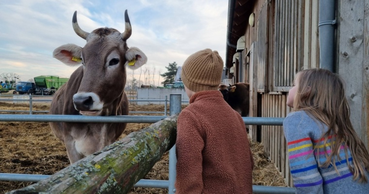 ZAGRODA SZCZEŚLIWYCH ZWIERZĄT – BIAŁĘGI